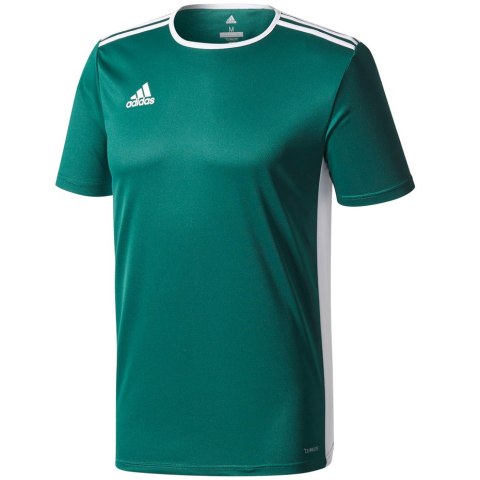 Koszulka dla dzieci adidas Entrada 18 Jersey JUNIOR zielona CE9563 Adidas teamwear