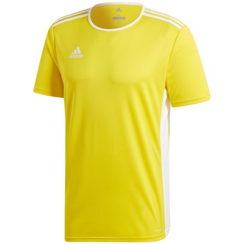 Koszulka dla dzieci adidas Entrada 18 Jersey JUNIOR żółta CF1039 Adidas teamwear