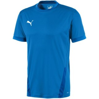 Koszulka męska Puma teamGOAL 23 Jersey niebieska 704171 02 Puma