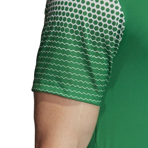 Koszulka męska adidas Regista 20 Jersey zielona FI4559 Adidas teamwear