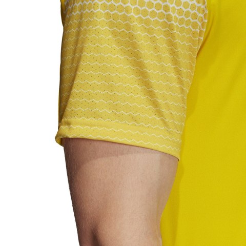 Koszulka męska adidas Regista 20 Jersey żółta FI4556 Adidas teamwear