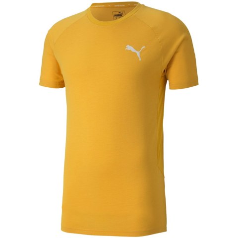 Koszulka męska Puma Evostripe Lite Tee żółta 581534 25 Puma
