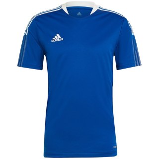Koszulka męska adidas Tiro 21 Training Jersey niebieska GM7589 Adidas teamwear