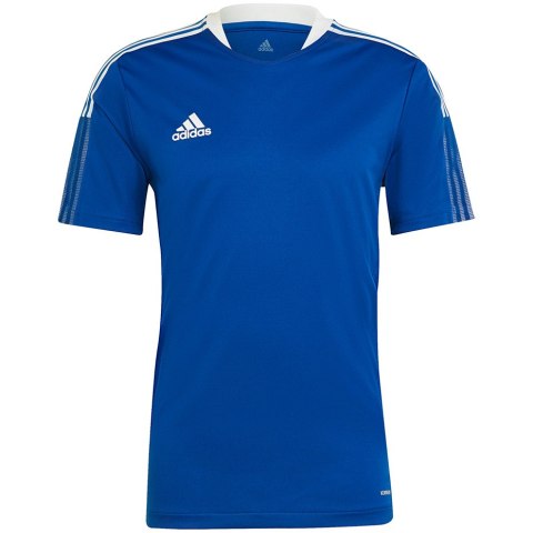 Koszulka męska adidas Tiro 21 Training Jersey niebieska GM7589 Adidas teamwear