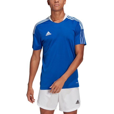 Koszulka męska adidas Tiro 21 Training Jersey niebieska GM7589 Adidas teamwear
