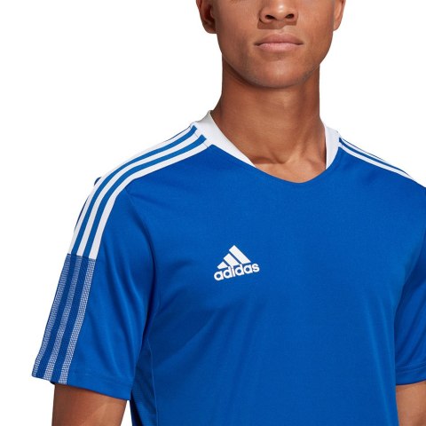Koszulka męska adidas Tiro 21 Training Jersey niebieska GM7589 Adidas teamwear