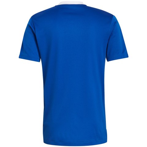 Koszulka męska adidas Tiro 21 Training Jersey niebieska GM7589 Adidas teamwear