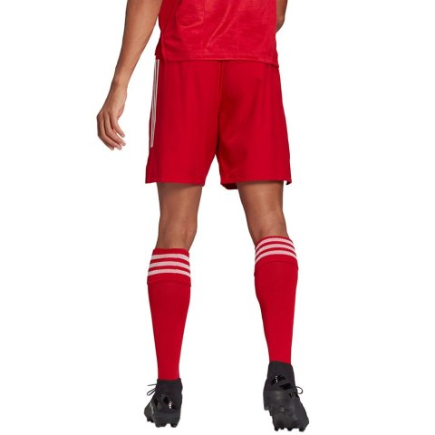 Spodenki męskie adidas Condivo 21 Primeblue Shorts czerwone GJ6810 Adidas teamwear
