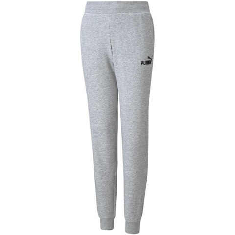 Spodnie dla dzieci Puma ESS Sweatpants TR szare 587037 04 Puma