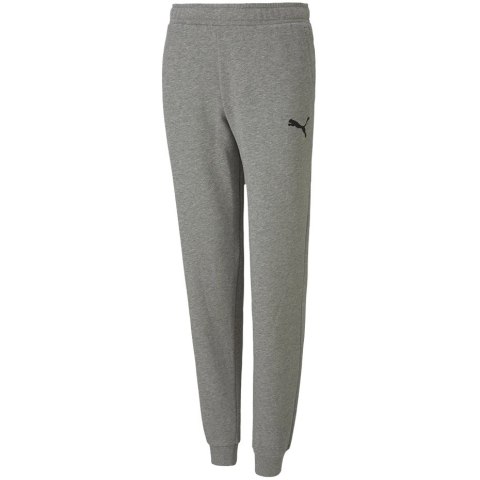 Spodnie dla dzieci Puma teamGOAL 23 Casuals Pants Jr szare 656713 33 Puma