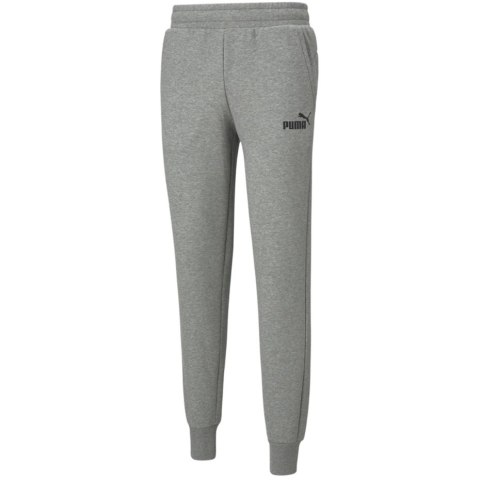 Spodnie męskie Puma ESS Logo Pants FL jasnoszare 586714 03 Puma