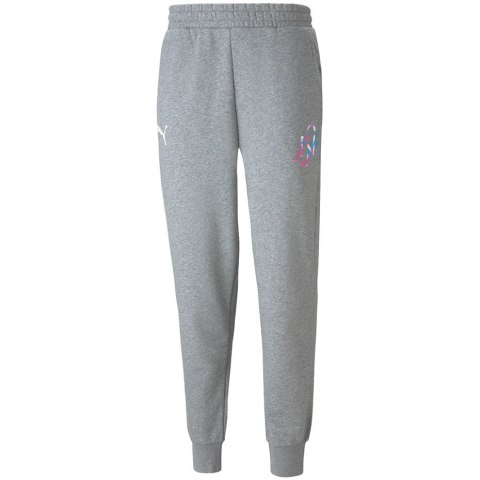 Spodnie męskie Puma Neymar JR Creativity szare 605564 06 Puma