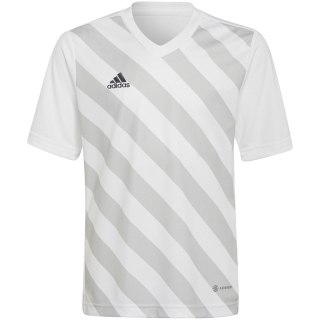 Koszulka dla dzieci adidas Entrada 22 Graphic Jersey biało-szara HF0120 Adidas teamwear