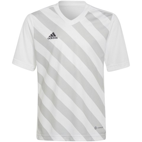 Koszulka dla dzieci adidas Entrada 22 Graphic Jersey biało-szara HF0120 Adidas teamwear