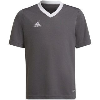 Koszulka dla dzieci adidas Entrada 22 Jsy szara H57499 Adidas teamwear