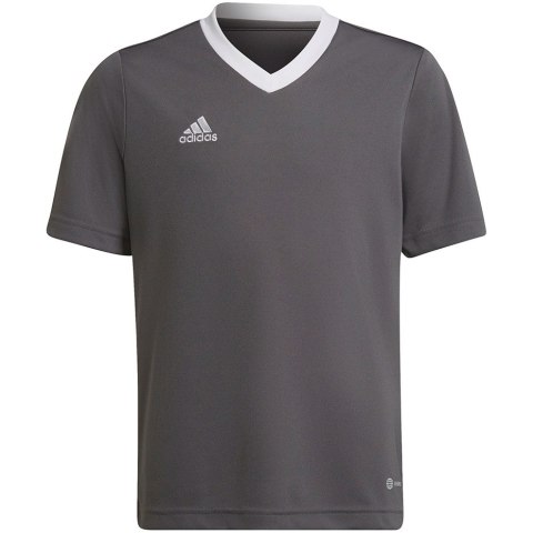 Koszulka dla dzieci adidas Entrada 22 Jsy szara H57499 Adidas teamwear