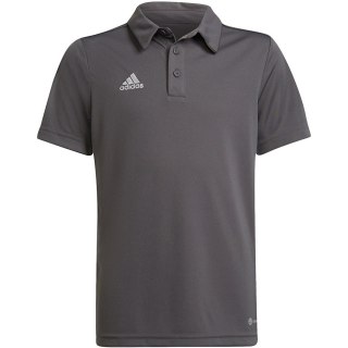Koszulka dla dzieci adidas Entrada 22 Polo szara H57485 Adidas teamwear