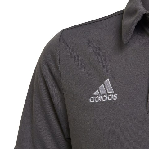 Koszulka dla dzieci adidas Entrada 22 Polo szara H57485 Adidas teamwear