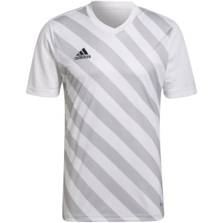 Koszulka męska adidas Entrada 22 Graphic Jersey biało-szara HF0129 Adidas teamwear