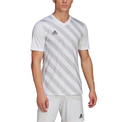 Koszulka męska adidas Entrada 22 Graphic Jersey biało-szara HF0129 Adidas teamwear