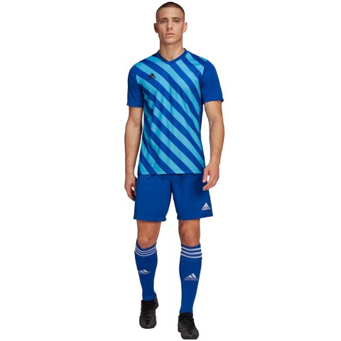Koszulka męska adidas Entrada 22 Graphic Jersey niebiesko-błękitna HF0116 Adidas teamwear