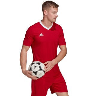 Koszulka męska adidas Entrada 22 Jersey czerwona H61736 Adidas teamwear