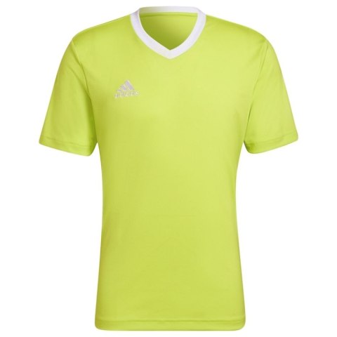 Koszulka męska adidas Entrada 22 Jersey limonkowa HC5077 Adidas teamwear