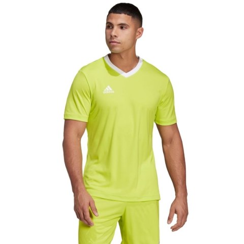 Koszulka męska adidas Entrada 22 Jersey limonkowa HC5077 Adidas teamwear