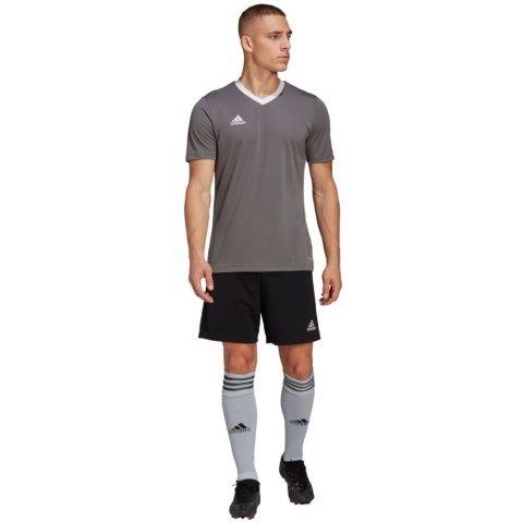 Koszulka męska adidas Entrada 22 Jersey szara HE1574 Adidas teamwear