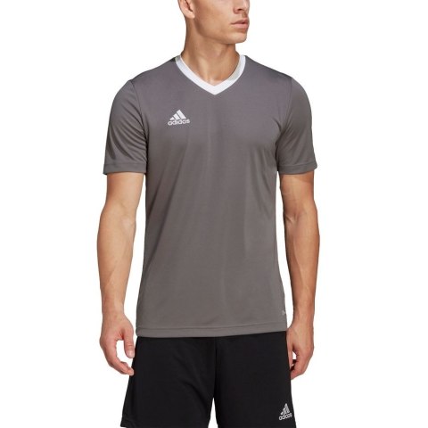 Koszulka męska adidas Entrada 22 Jersey szara HE1574 Adidas teamwear