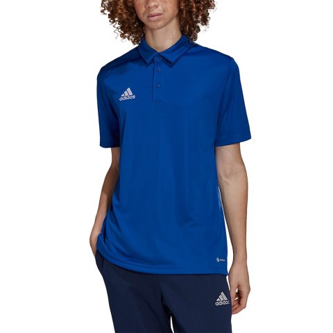 Koszulka męska adidas Entrada 22 Polo niebieska HG6285 Adidas teamwear