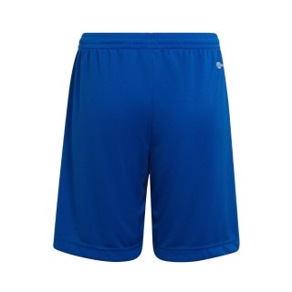 Spodenki dla dzieci adidas Entrada 22 niebieskie HG6291 Adidas teamwear