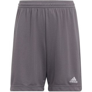 Spodenki dla dzieci adidas Entrada 22 szare H57507 Adidas teamwear