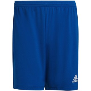 Spodenki męskie adidas Entrada 22 niebieskie HG6294 Adidas teamwear