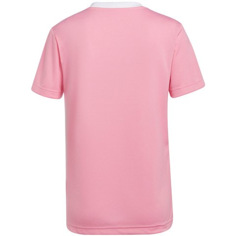 Koszulka damska adidas Entrada 22 Jersey różowa HC5075 Adidas teamwear
