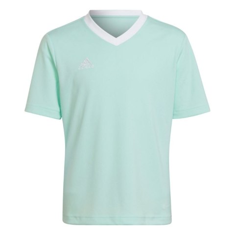 Koszulka dla dzieci adidas Entrada 22 Jersey miętowa HC5078 Adidas teamwear