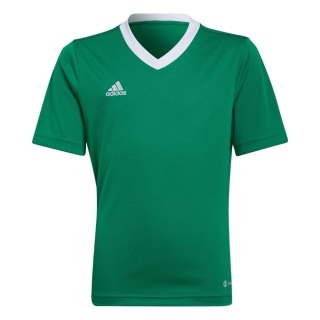 Koszulka dla dzieci adidas Entrada 22 Jersey zielona HI2126 Adidas teamwear