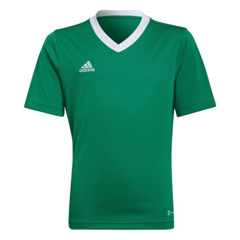 Koszulka dla dzieci adidas Entrada 22 Jersey zielona HI2126 Adidas teamwear