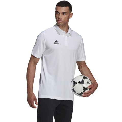 Koszulka męska adidas Entrada 22 Polo biała HC5067 Adidas teamwear