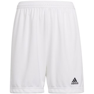 Spodenki dla dzieci adidas Entrada 22 białe HG6292 Adidas teamwear