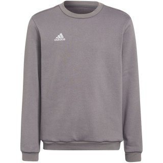 Bluza dla dzieci adidas Entrada 22 Sweat Top szara H57477 Adidas teamwear
