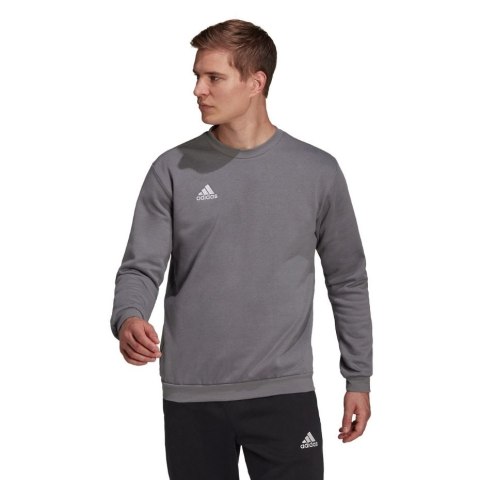 Bluza męska adidas Entrada 22 Sweat Top szara H57479 Adidas teamwear