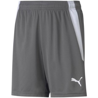 Spodenki dla dzieci Puma teamLIGA Shorts Jr Smoked szare 704931 13 Puma