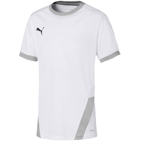 Koszulka dla dzieci Puma teamGOAL 23 Jersey biała 704160 04 Puma