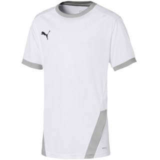 Koszulka dla dzieci Puma teamGOAL 23 Jersey biała 704160 04 Puma