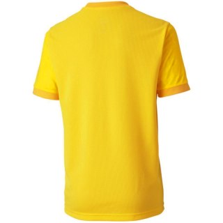 Koszulka dla dzieci Puma teamGOAL 23 Jersey żółta 704160 07 Puma