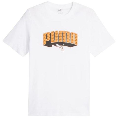 Koszulka męska Puma Graphics Hip Hop Tee biała 677189 02 Puma
