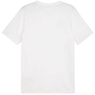 Koszulka męska Puma Team Goal Casuals Tee biała 658615 04 Puma