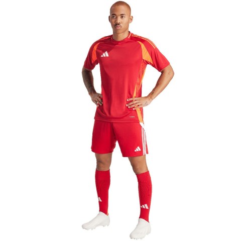 Spodenki męskie adidas Tiro 24 czerwone IR9379 Adidas teamwear
