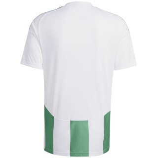 Koszulka męska adidas Striped 24 Jersey biało-zielona IW2148 Adidas teamwear